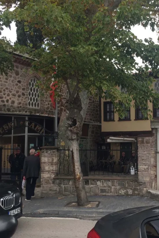 Mudanya dış alan